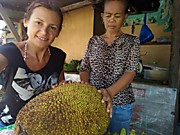 Джек фрукт, Филиппины, остров Самал