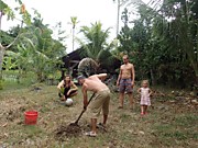 Посадка кокосовой пальмы