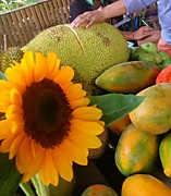 Джек фрукт, Филиппины, остров Самал